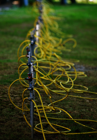 Metal rods arrangend in a row are inserted in a meadow. The rod are linked with yellow cords. 