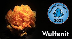 Wulfenit - Mineral des Jahres 2021