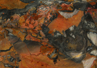 Steinplatte mit graurosa und hellgrau gefärbte Ablagerungen (Farbflächen), die in einem gelblichgraurosa gefärbten Grundgestein schwimmen.